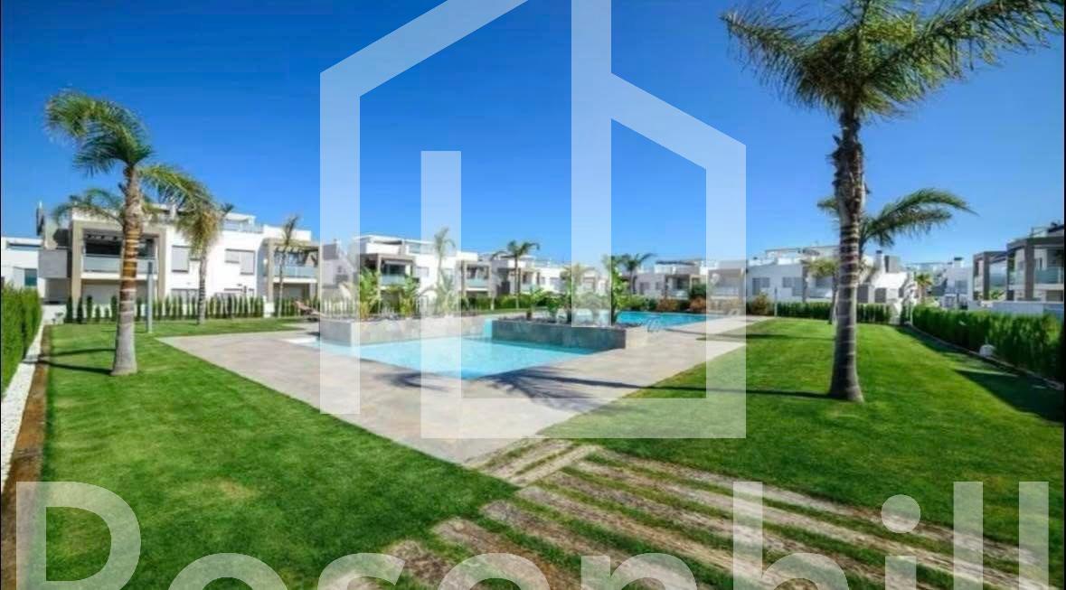 WhatsApp Image 2025-10-23 at 20.41.31 (1)