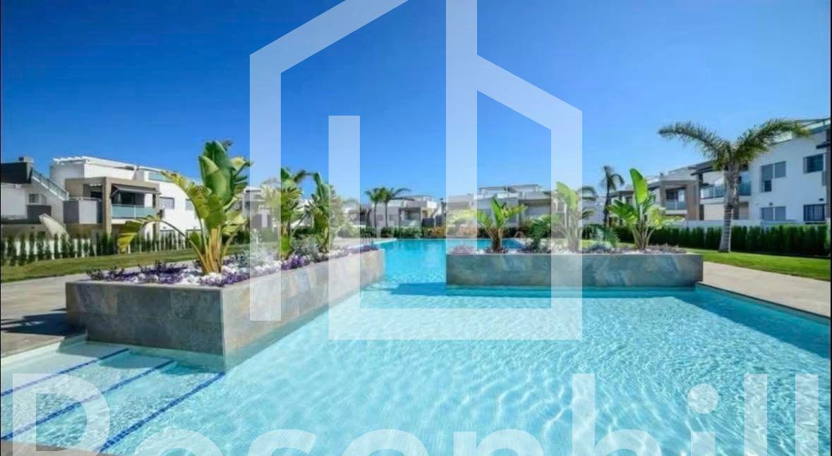 WhatsApp Image 2025-10-23 at 20.41.34 (1)