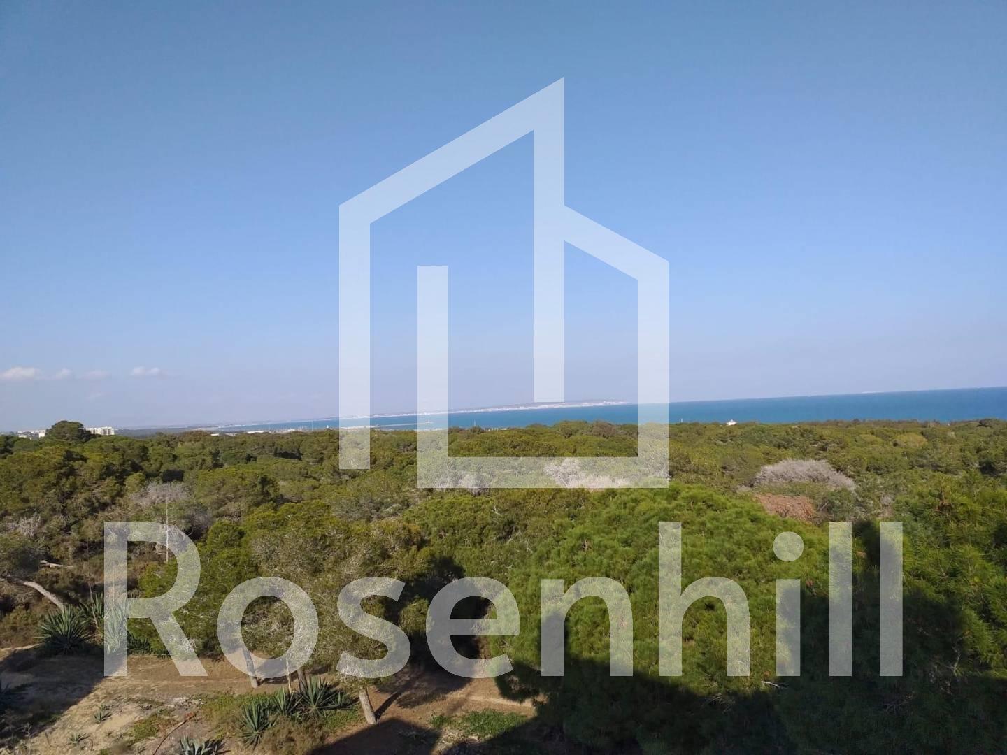 new-build-apartment-flat-guardamar-del-segura-guardamar-pueblo_145062_xl