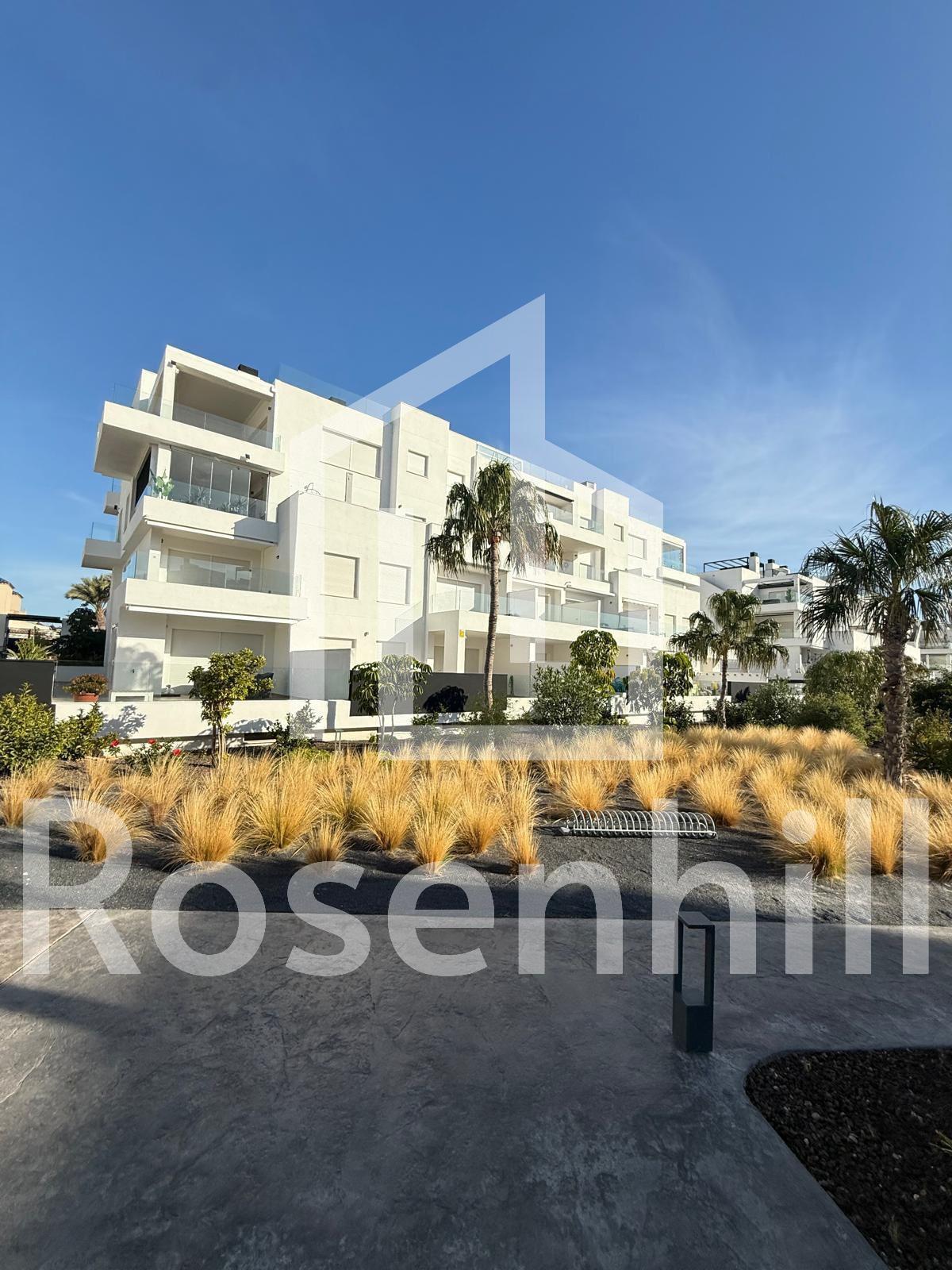 597688263_1976944516205529_5248801359373306384_n