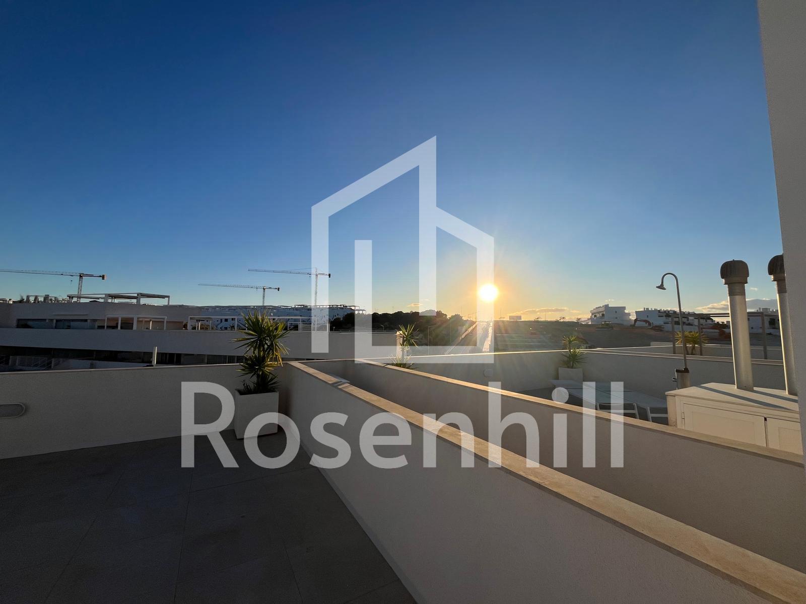 WhatsApp Image 2026-02-14 at 21.42.25