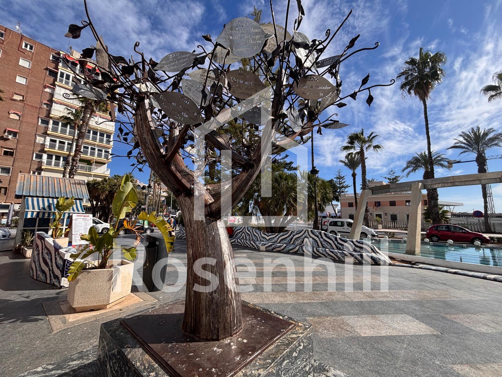 WhatsApp Image 2026-03-02 at 13.39.59 (26)