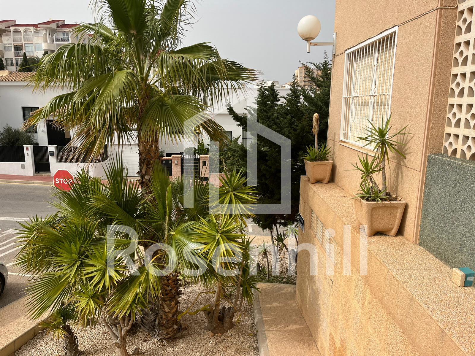 WhatsApp Image 2026-03-03 at 15.27.40 (3)